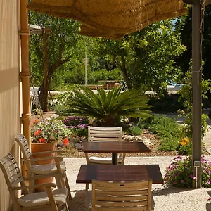 The Pink Pepper Tree *** Lloseta